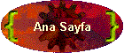 Ana Sayfa